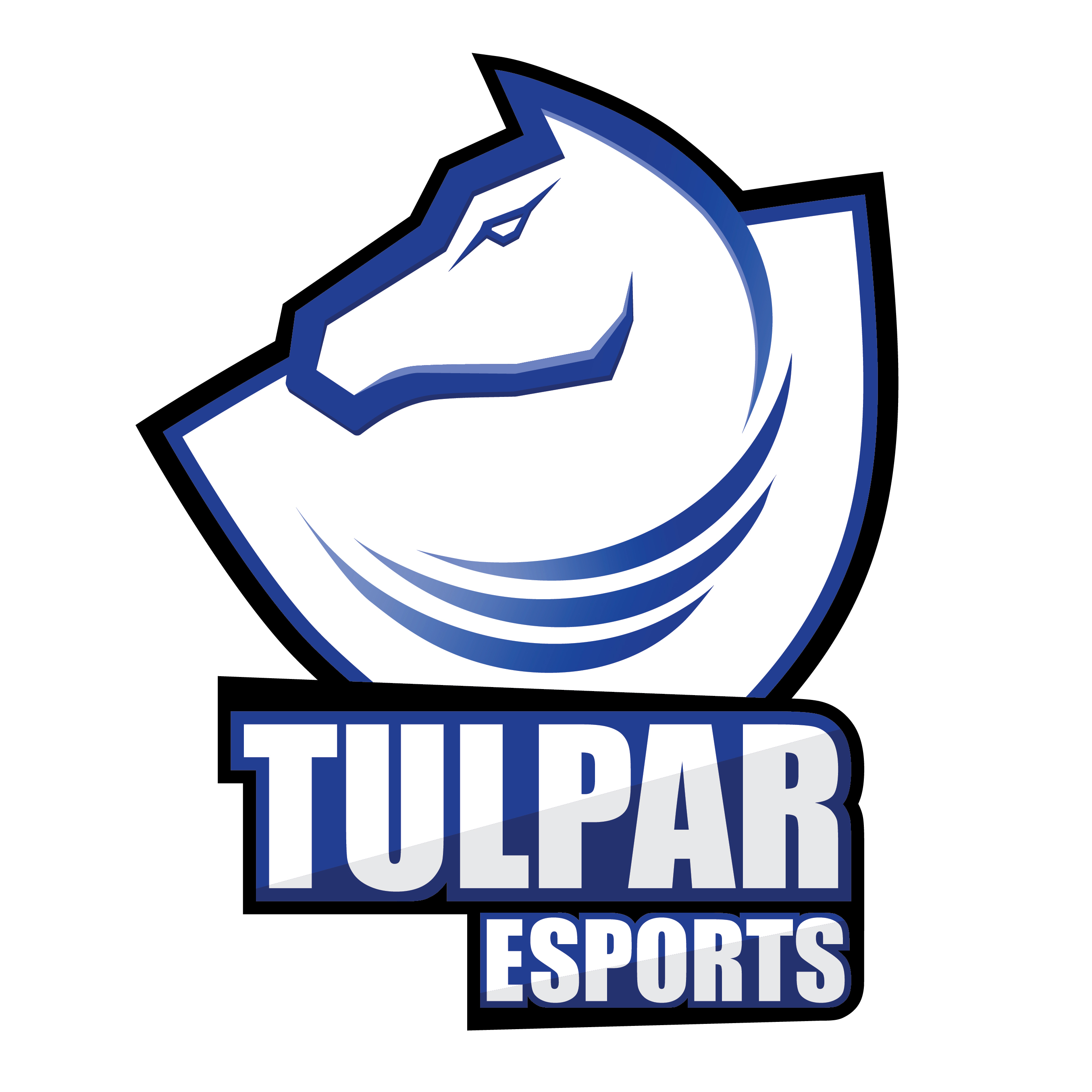 Tulpar E-Spor Kulübü